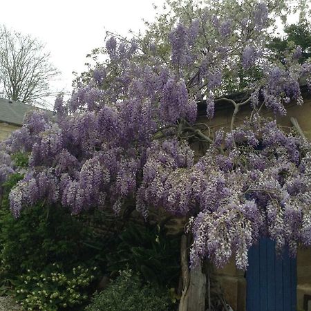 Pegasus Bed & Breakfast Blainville-sur-Orne Exterior foto